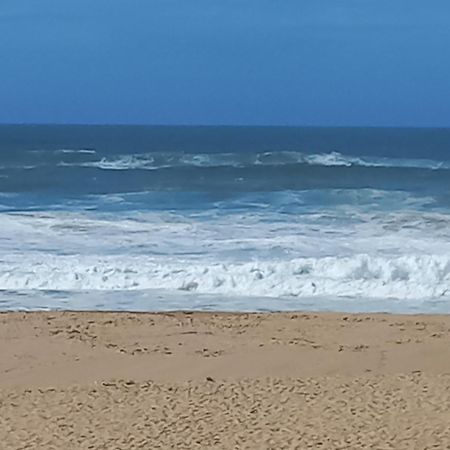 Plage Et Foret Pobral المظهر الخارجي الصورة