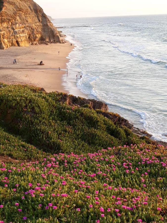 Plage Et Foret Pobral المظهر الخارجي الصورة